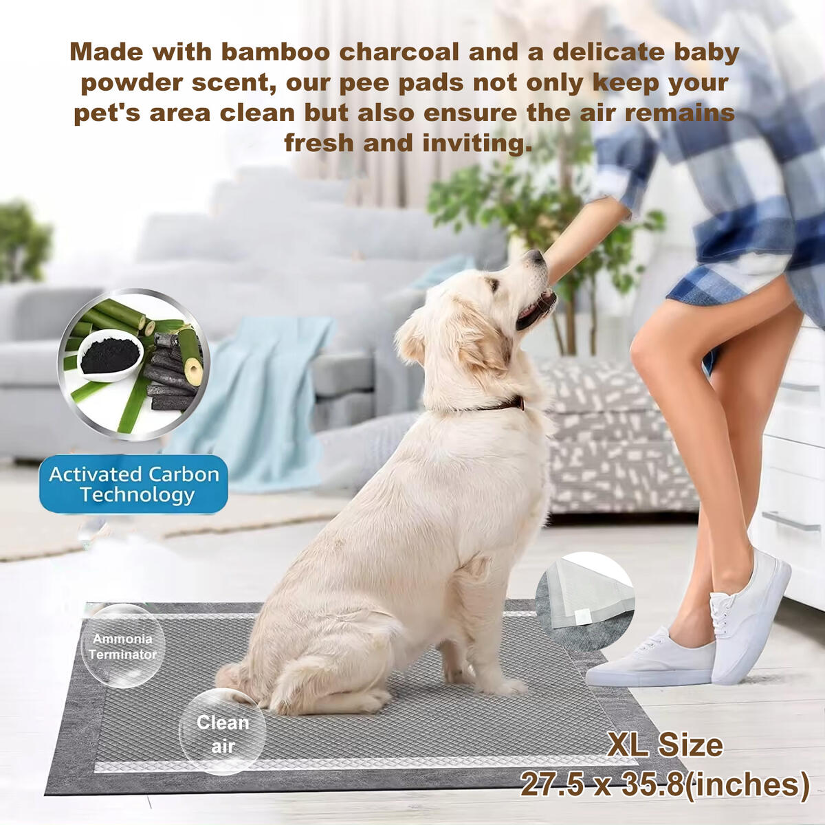 Golden retriever with owner beside pet training pad